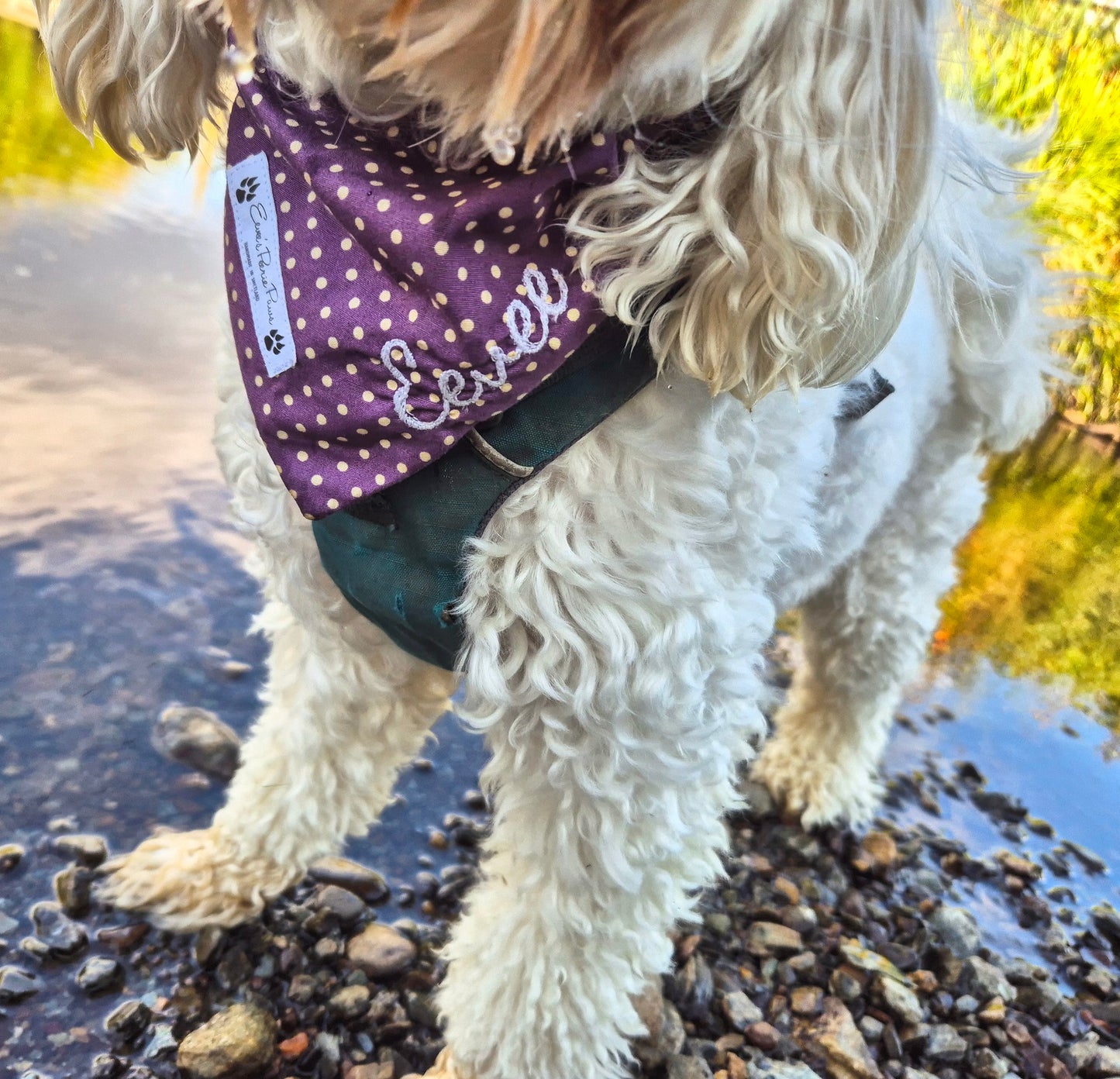 Image/Logo Personalisation Onto Any Bandana - In The Centre