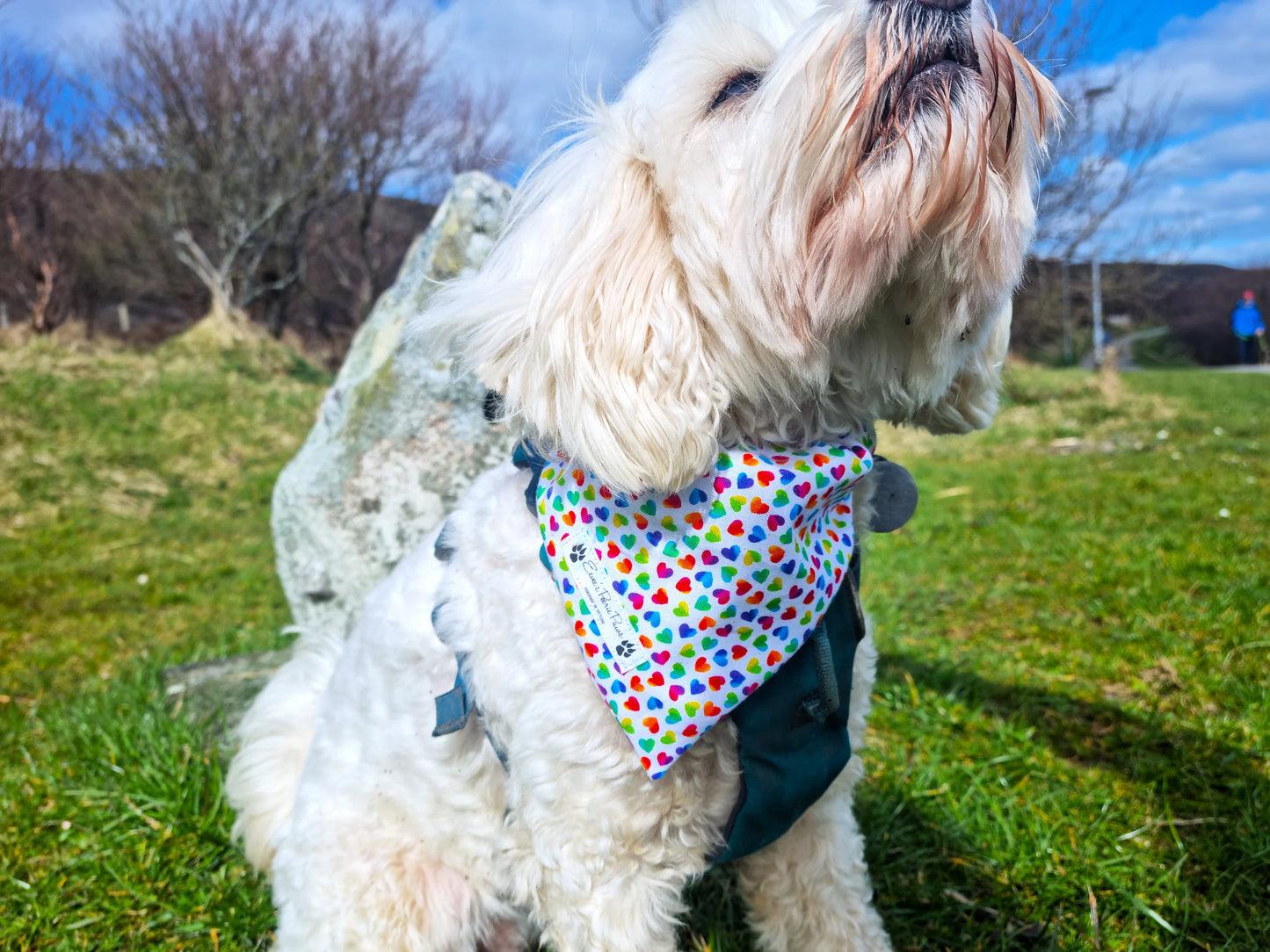 Rainbow Hearts Design Over The Collar Pet Bandana