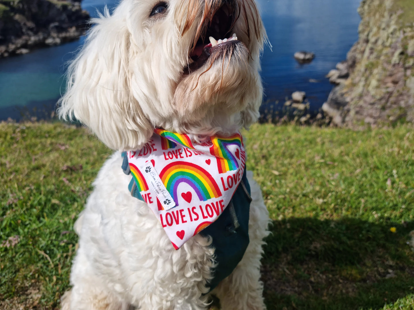 Love Is Love Design Over The Collar Pet Bandana