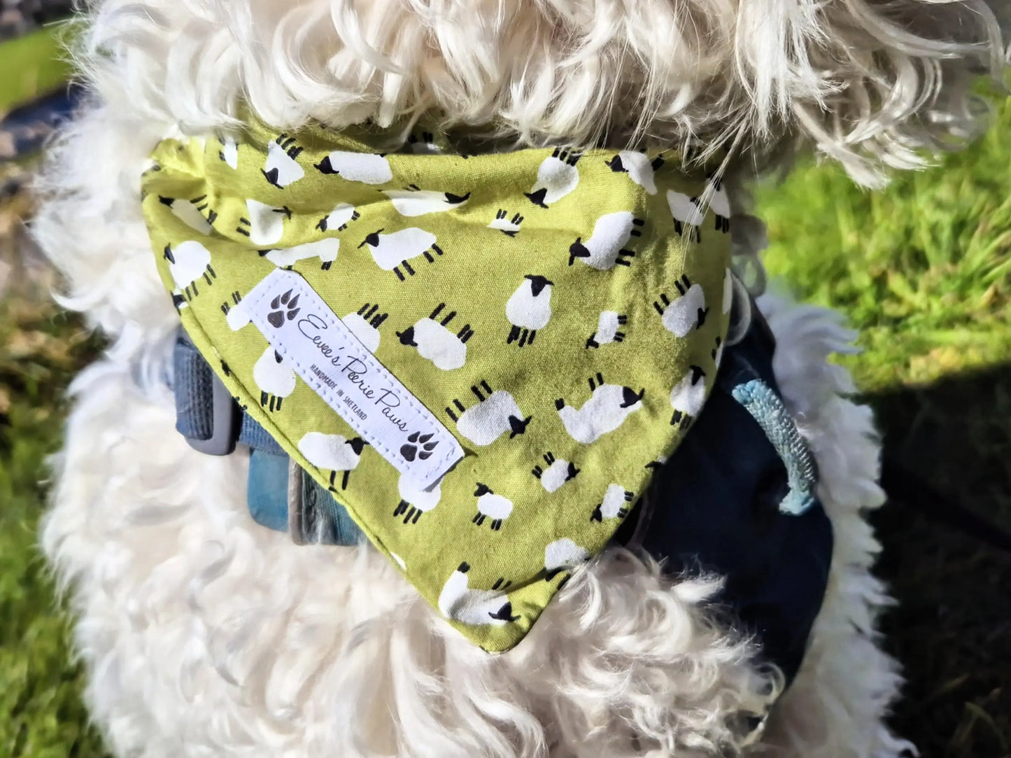 White Sheep on Green Field Design Over The Collar Pet Bandana