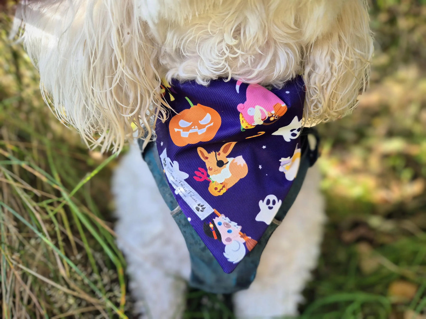 Halloween Pokemon Design Over The Collar Pet Bandana
