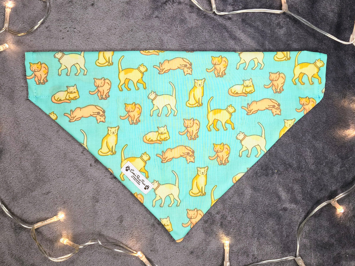 Aqua Cats Design Over The Collar Pet Bandana