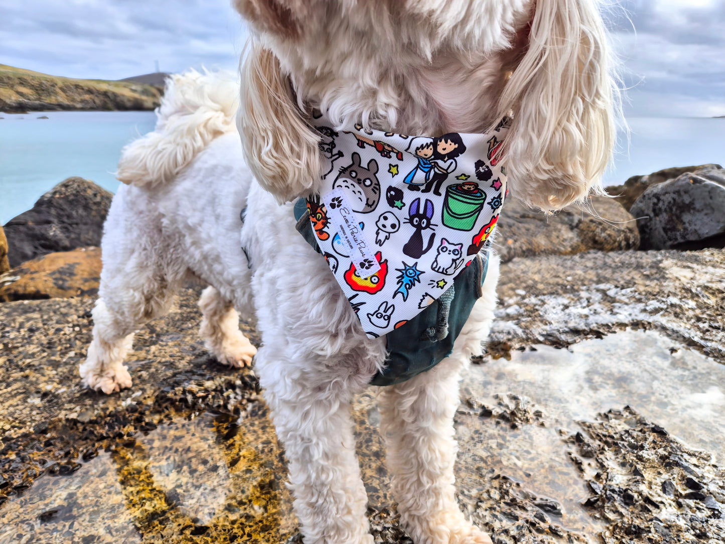 Studio Ghibli Design Over The Collar Pet Bandana