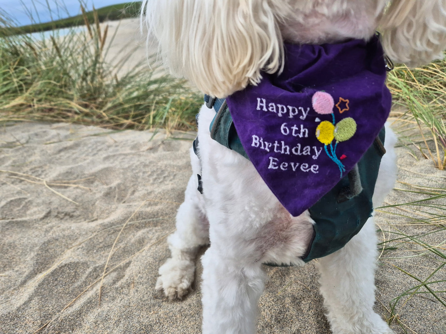 Birthday Personalisation Onto Any Bandana