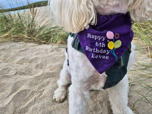 Birthday Personalisation Onto Any Bandana