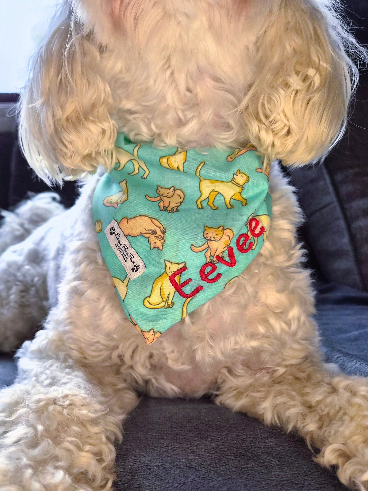 Aqua Cats Design Over The Collar Pet Bandana