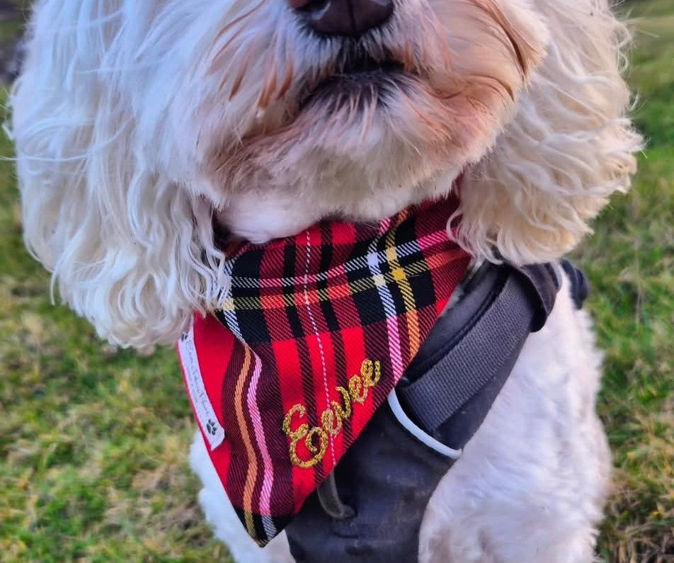 Red and Yellow Tartan Design Over The Collar Pet Bandana