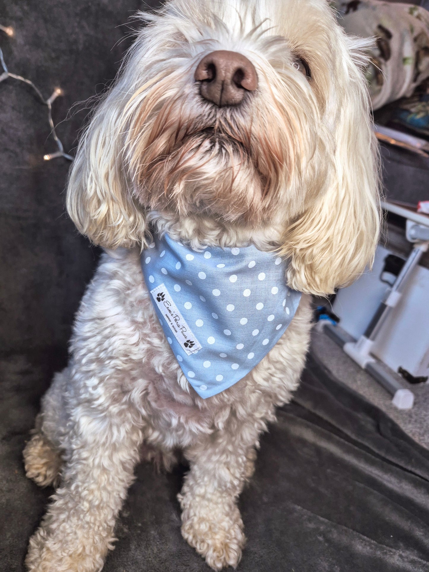 Blue Dot Design Over The Collar Pet Bandana