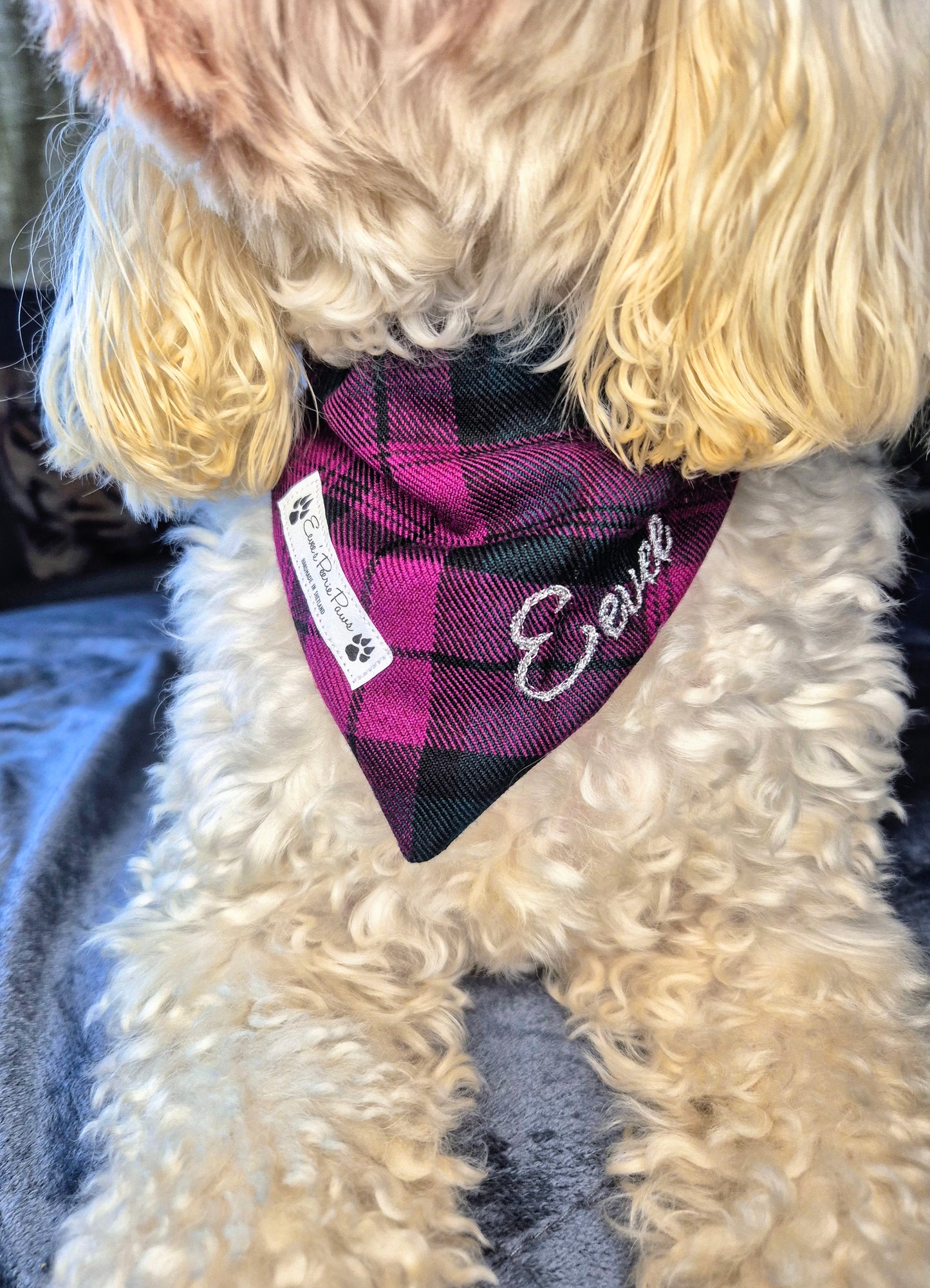Purple and Green Tartan Design Over The Collar Pet Bandana