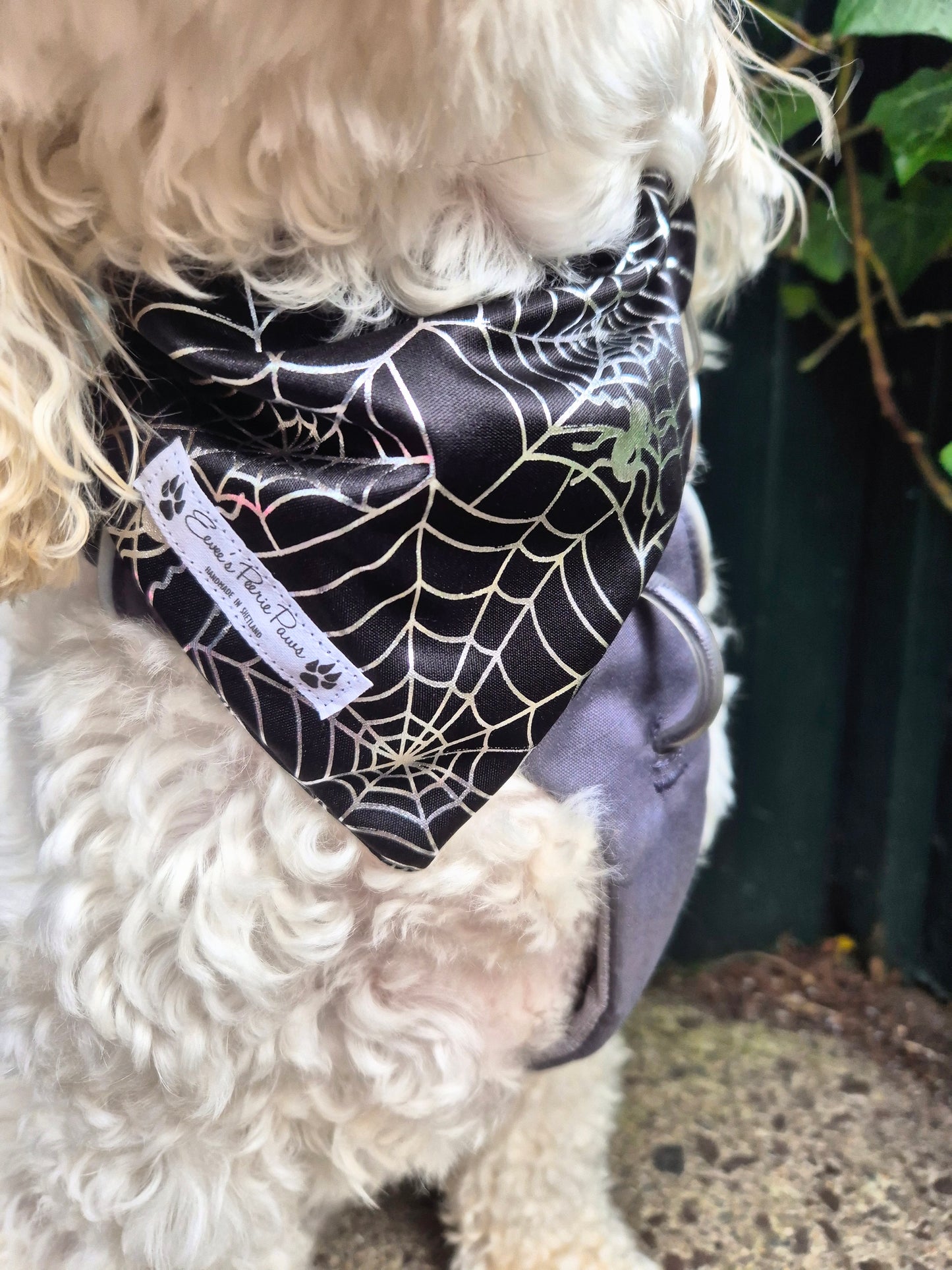 Halloween Spider Web Design Over The Collar Pet Bandana