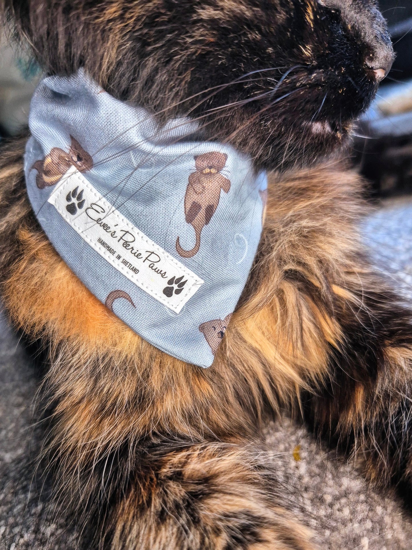 Otter Design Over The Collar Pet Bandana