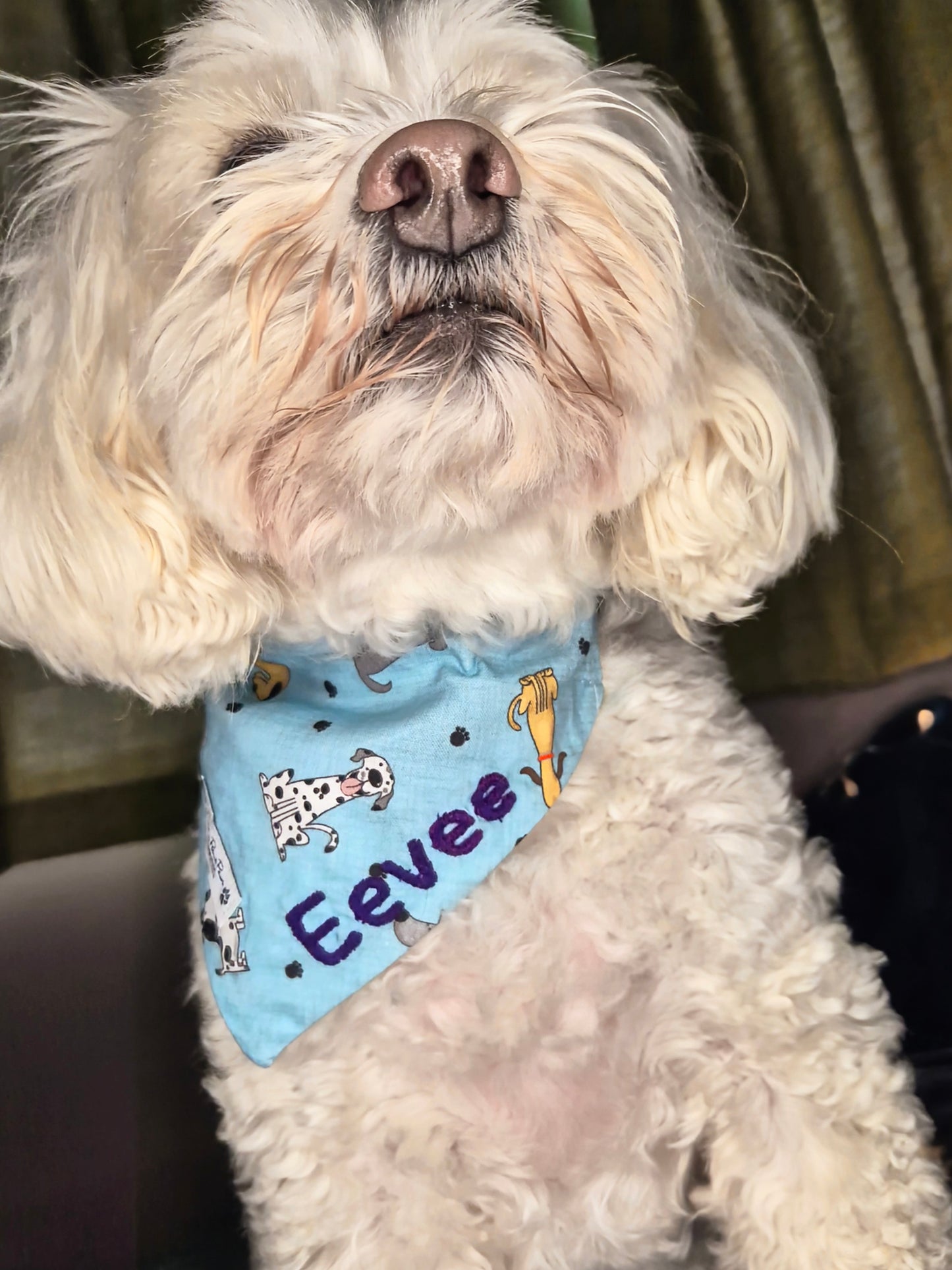 Cartoon Dogs Design Over The Collar Pet Bandana