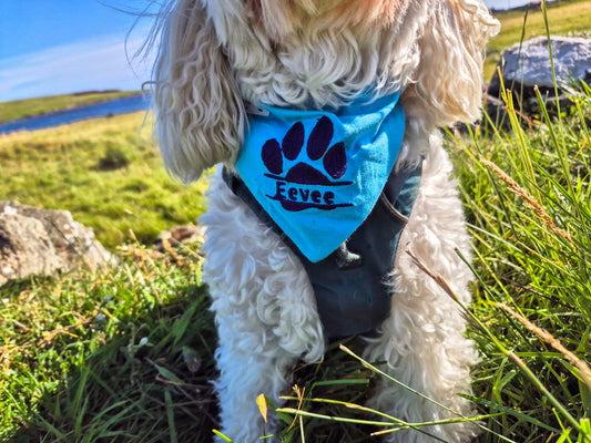 Paw Name Personalisation Onto Any Bandana