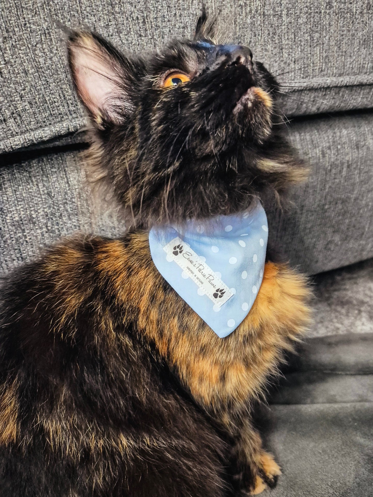 Blue Dot Design Over The Collar Pet Bandana