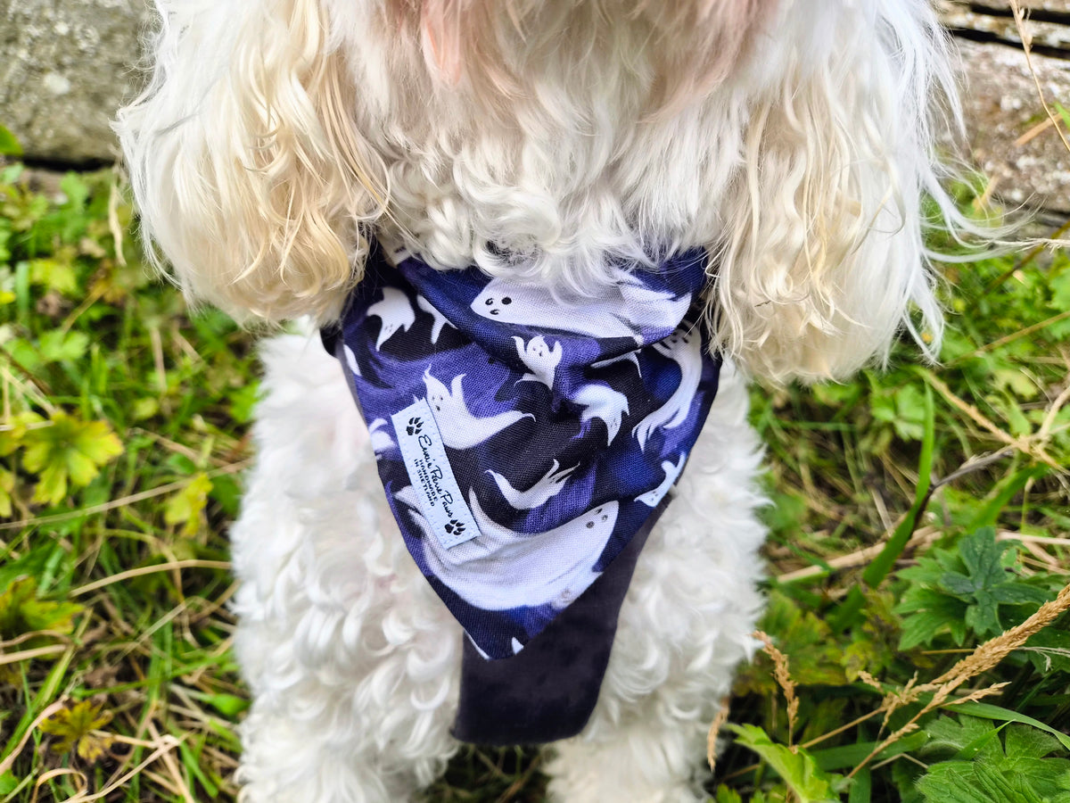 Halloween Ghosties Design Over The Collar Pet Bandana