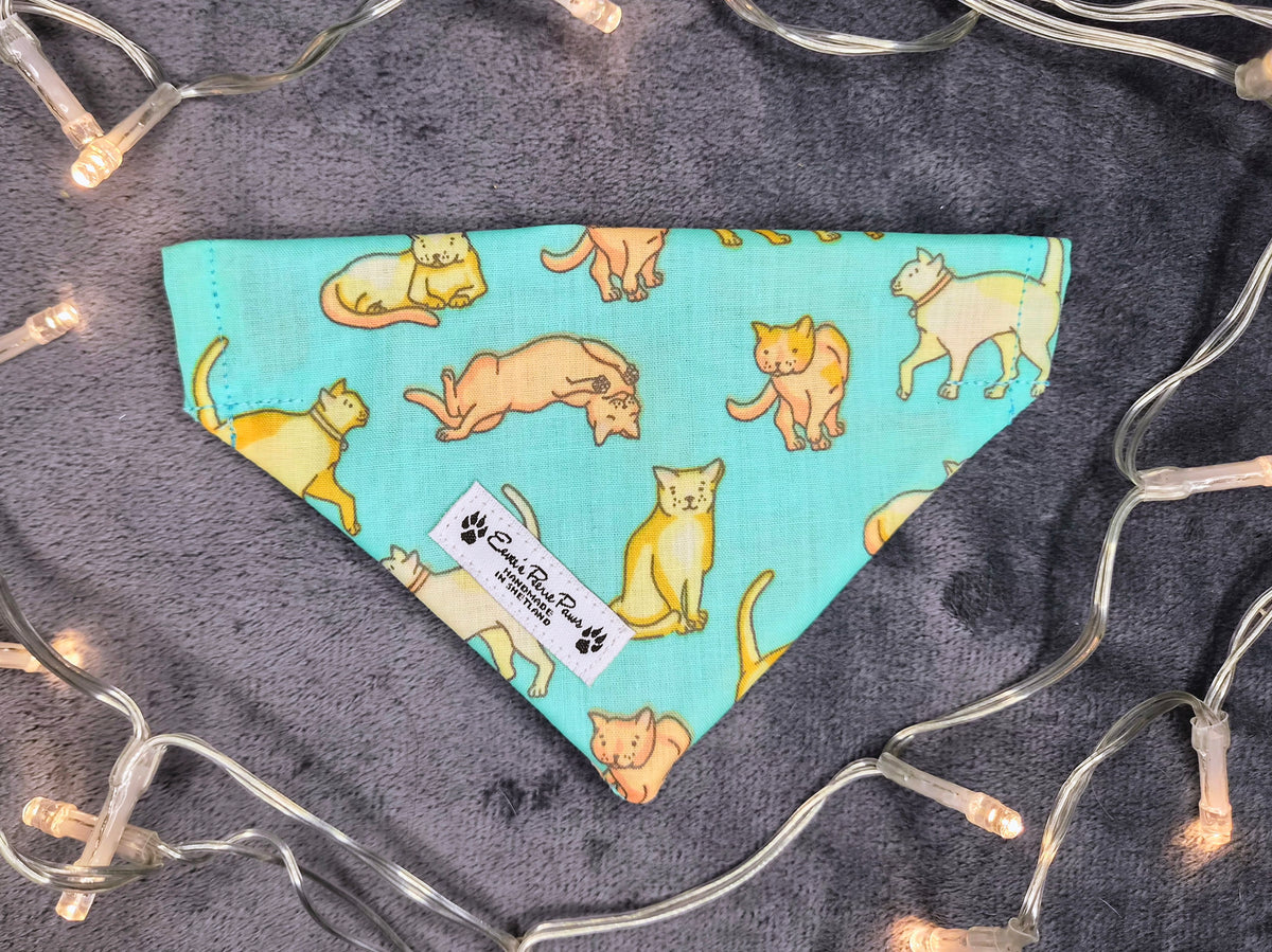 Aqua Cats Design Over The Collar Pet Bandana