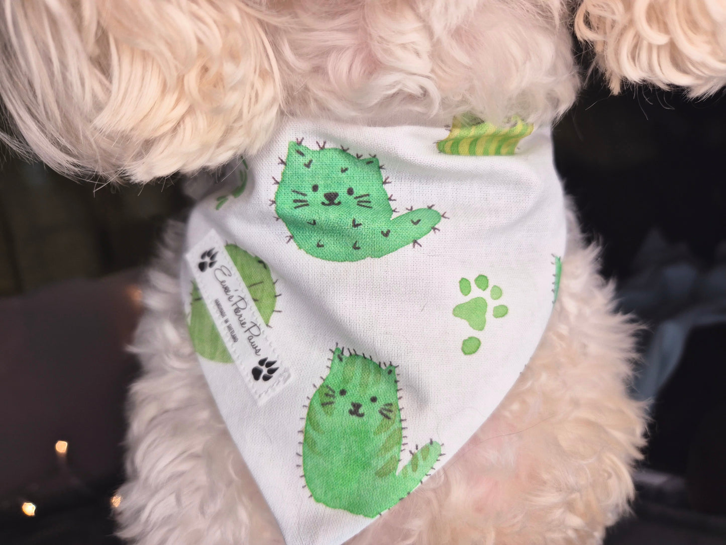 CATus Design Over The Collar Pet Bandana