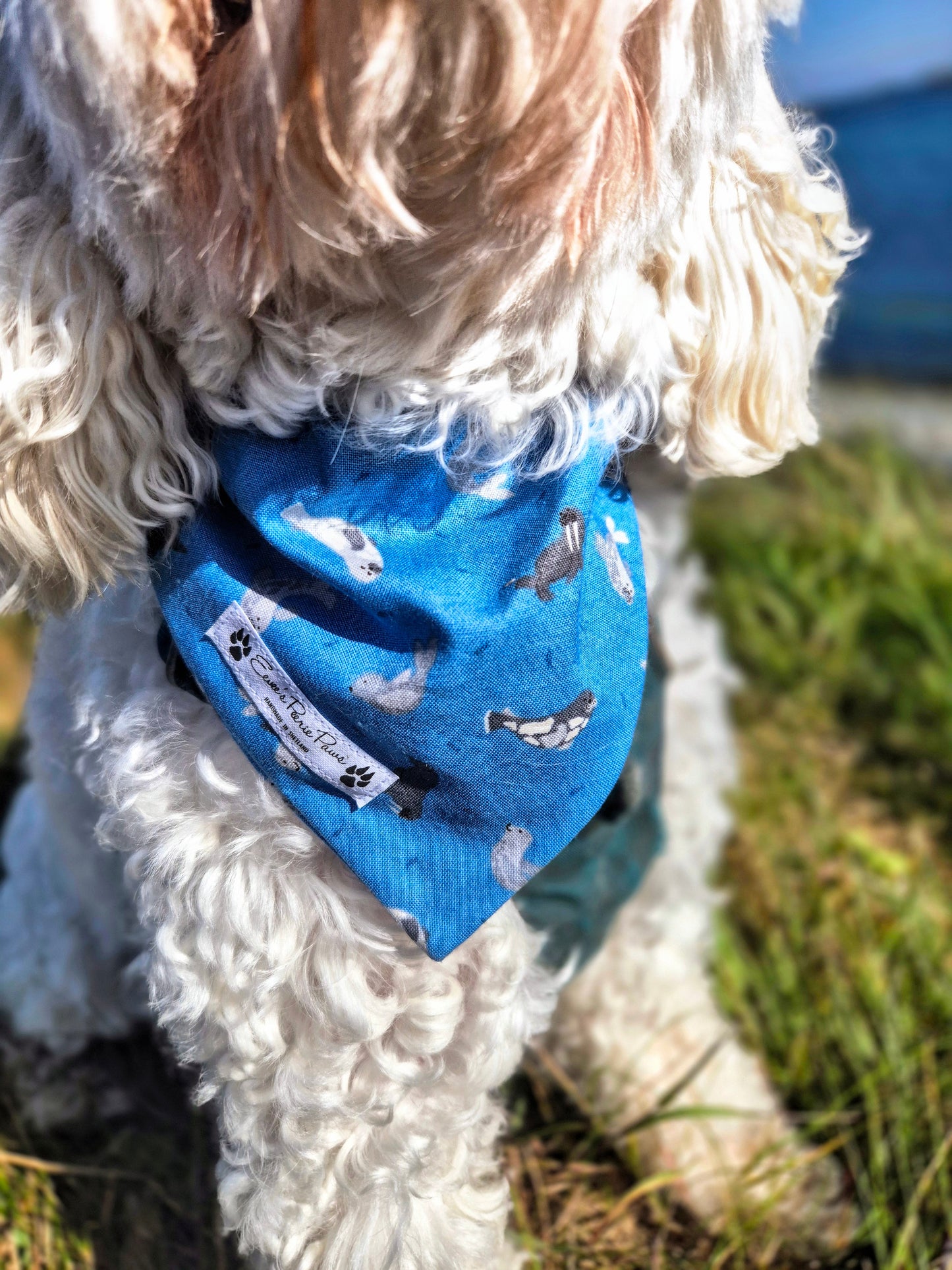 Seals and Walrus Design Over The Collar Pet Bandana