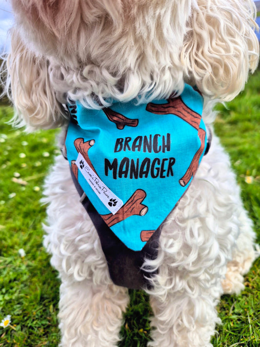 Branch Manager Design Over The Collar Pet Bandana