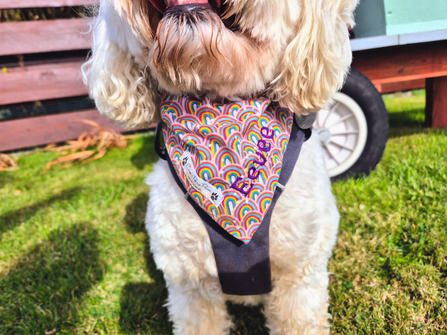 Rainbows Design Over The Collar Pet Bandana
