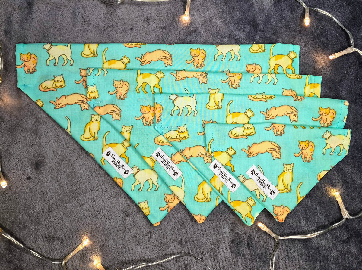 Aqua Cats Design Over The Collar Pet Bandana