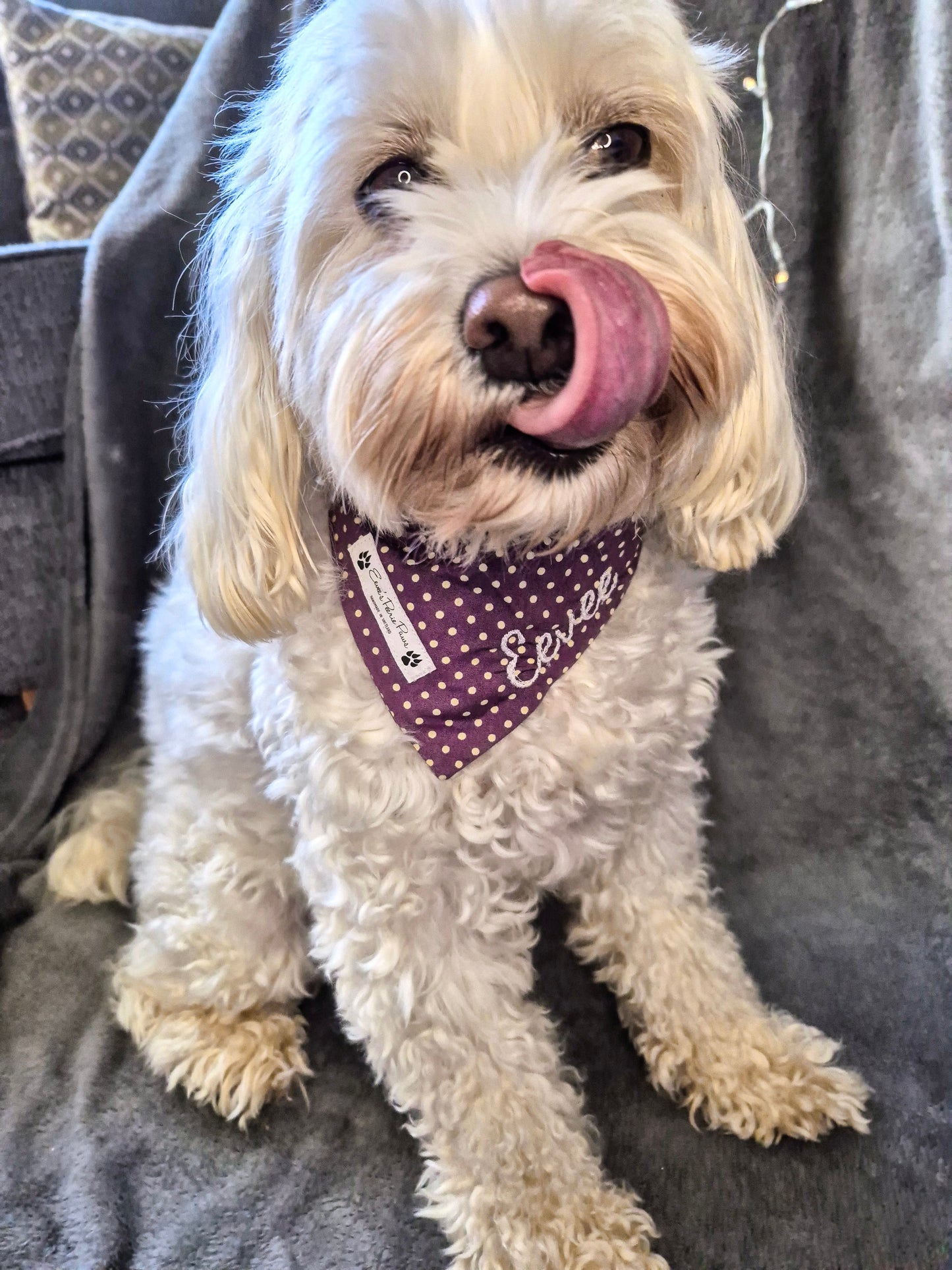 Purple Mauve and Cream Dots Design Over The Collar Pet Bandana