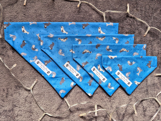 Seals and Walrus Design Over The Collar Pet Bandana