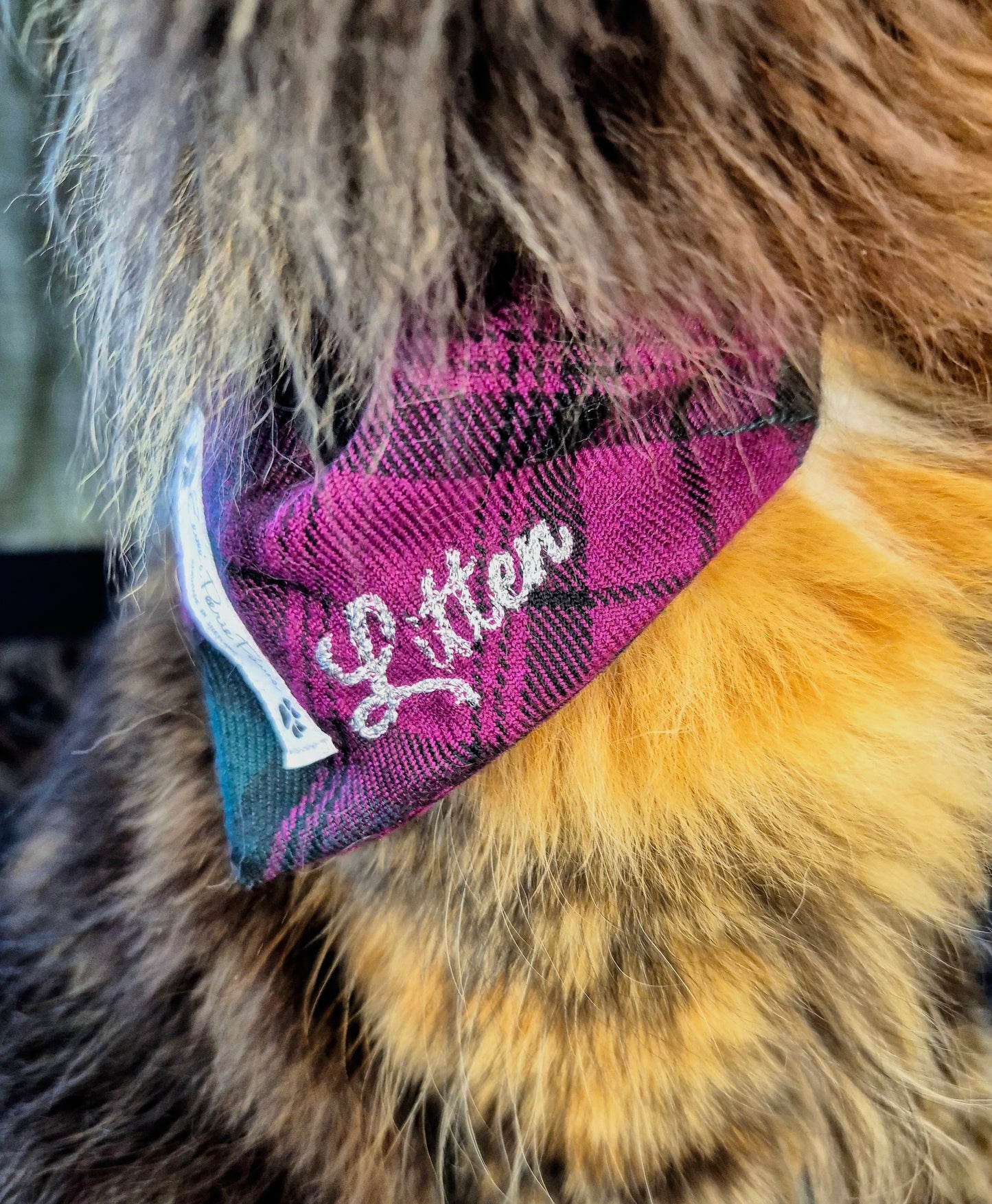 Purple and Green Tartan Design Over The Collar Pet Bandana