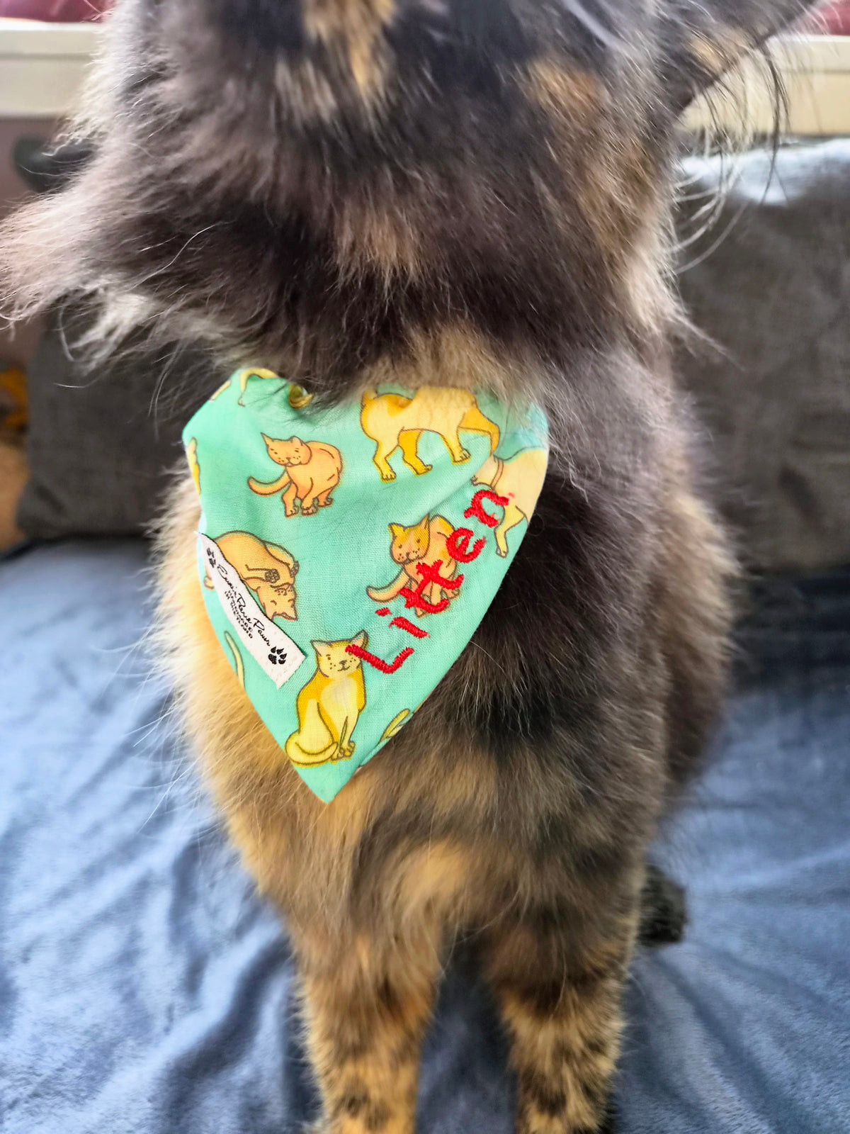 Aqua Cats Design Over The Collar Pet Bandana